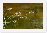 4 korentoja _8702 * 900 x 598 * (328KB)